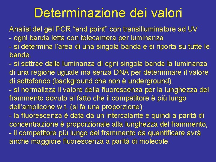 Determinazione dei valori Analisi del gel PCR “end point” con transilluminatore ad UV -