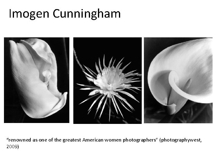 Imogen Cunningham “renowned as one of the greatest American women photographers” (photographywest, 2009) 