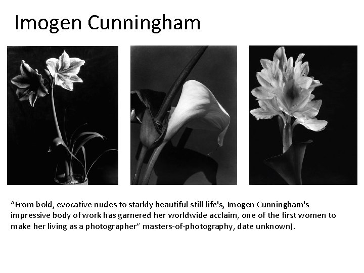 Imogen Cunningham “From bold, evocative nudes to starkly beautiful still life's, Imogen Cunningham's impressive