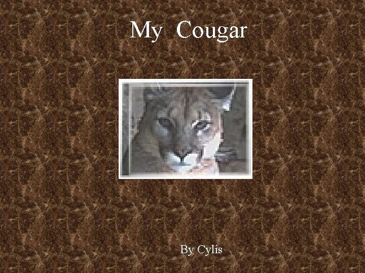 My Cougar By Cylis 