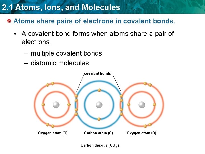 2. 1 Atoms, Ions, and Molecules Atoms share pairs of electrons in covalent bonds.