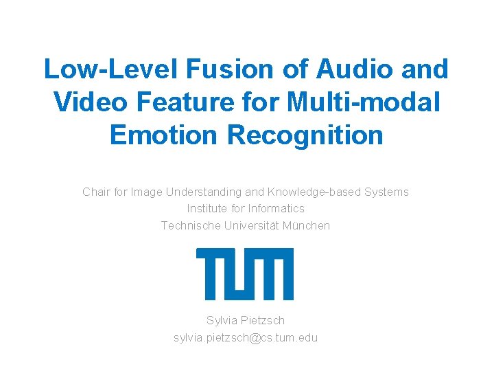 LowLevel Fusion of Audio and Video Feature for