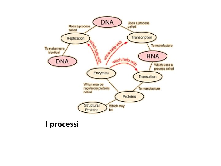 I processi 