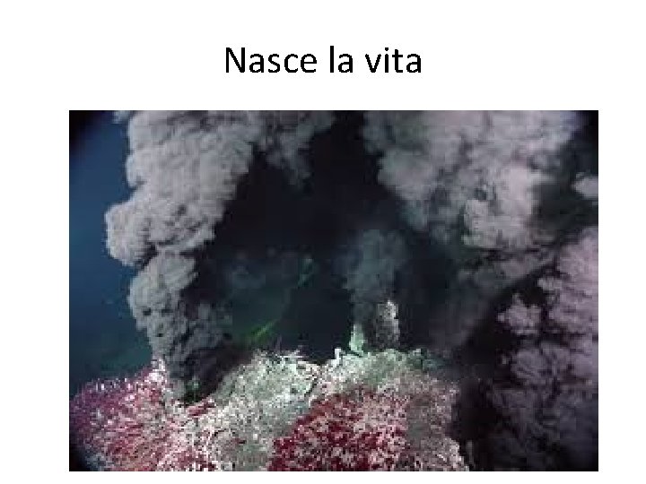 Nasce la vita 