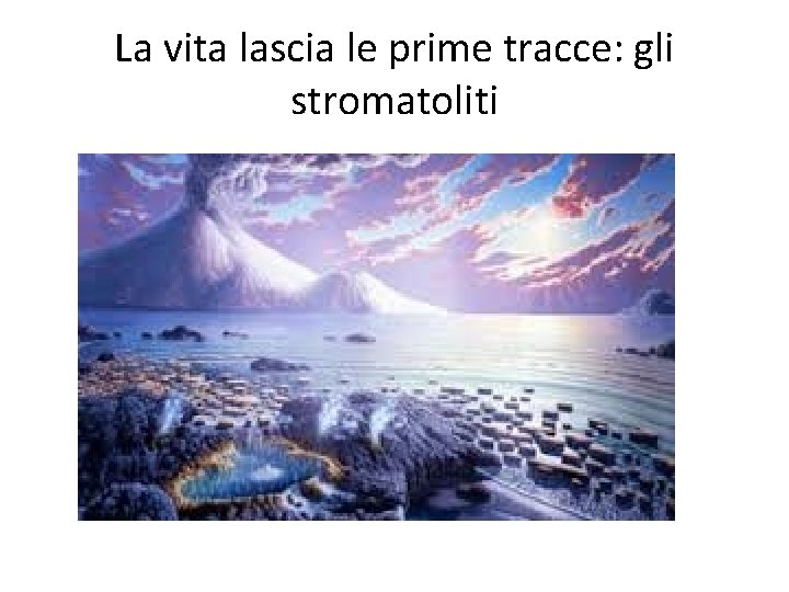 La vita lascia le prime tracce: gli stromatoliti 