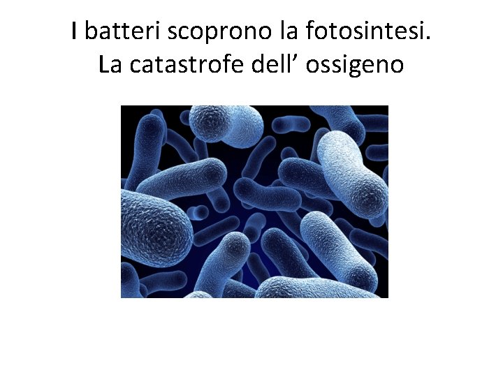 I batteri scoprono la fotosintesi. La catastrofe dell’ ossigeno 