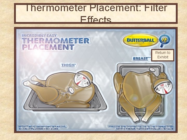 Thermometer Placement: Filter Effects Return to Exhibit 
