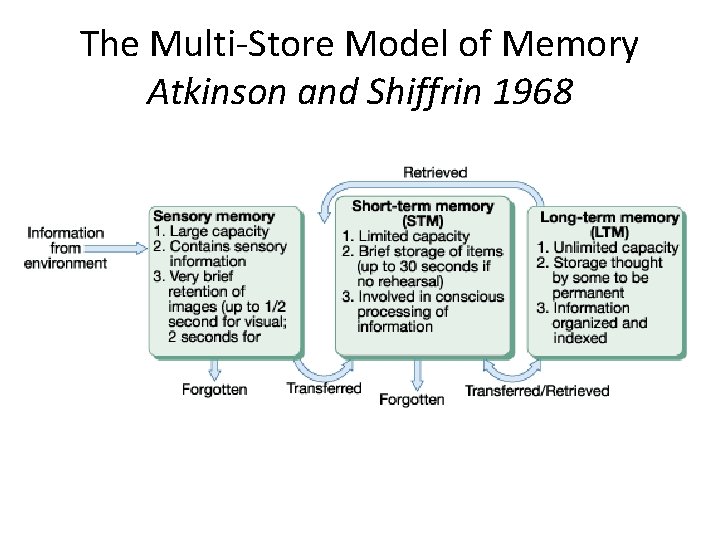 The Multi-Store Model of Memory Atkinson and Shiffrin 1968 