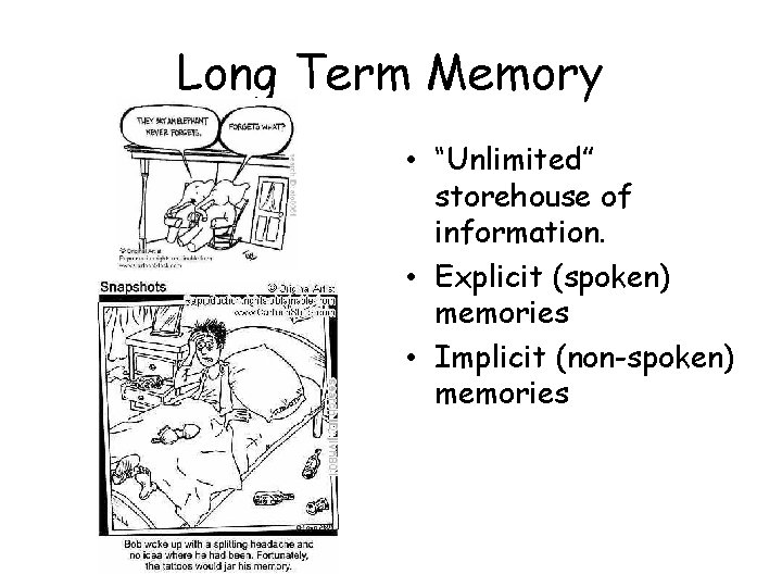 Long Term Memory • “Unlimited” storehouse of information. • Explicit (spoken) memories • Implicit