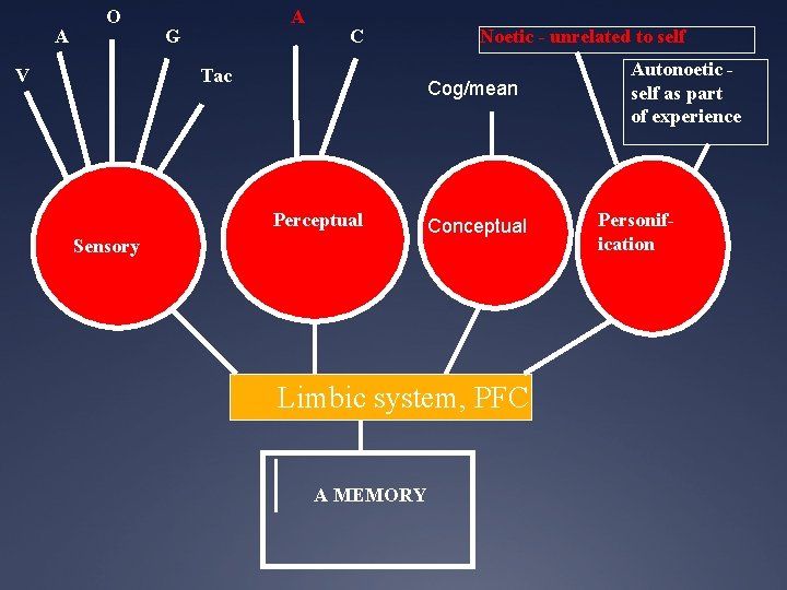 A O A G C Tac V Noetic - unrelated to self Cog/mean Perceptual