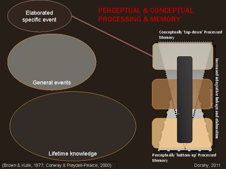 Elaborated specific event PERCEPTUAL & CONCEPTUAL PROCESSING & MEMORY Conceptually ‘top-down’ Processed Memory Lifetime