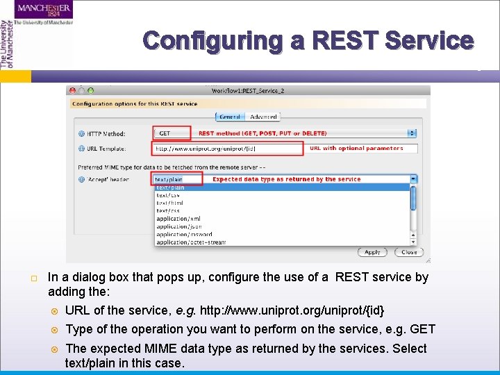 Configuring a REST Service In a dialog box that pops up, configure the use