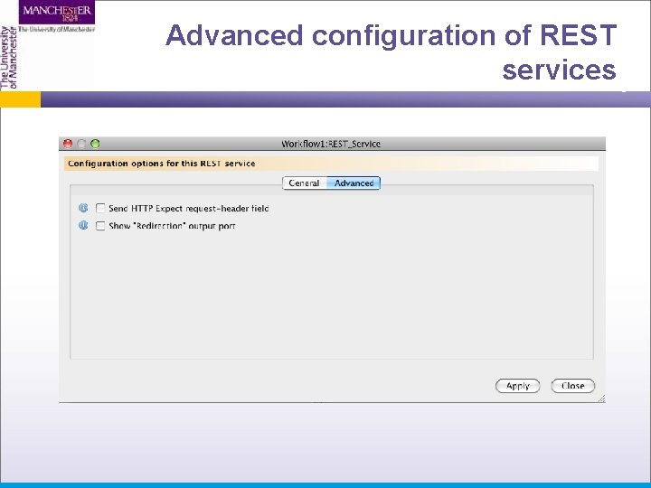 Advanced configuration of REST services 