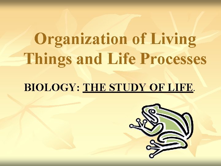 Organization of Living Things and Life Processes BIOLOGY: THE STUDY OF LIFE. 