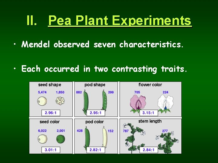 II. Pea Plant Experiments • Mendel observed seven characteristics. • Each occurred in two