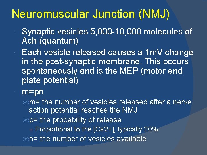 Neuromuscular Junction (NMJ) Synaptic vesicles 5, 000 -10, 000 molecules of Ach (quantum) Each