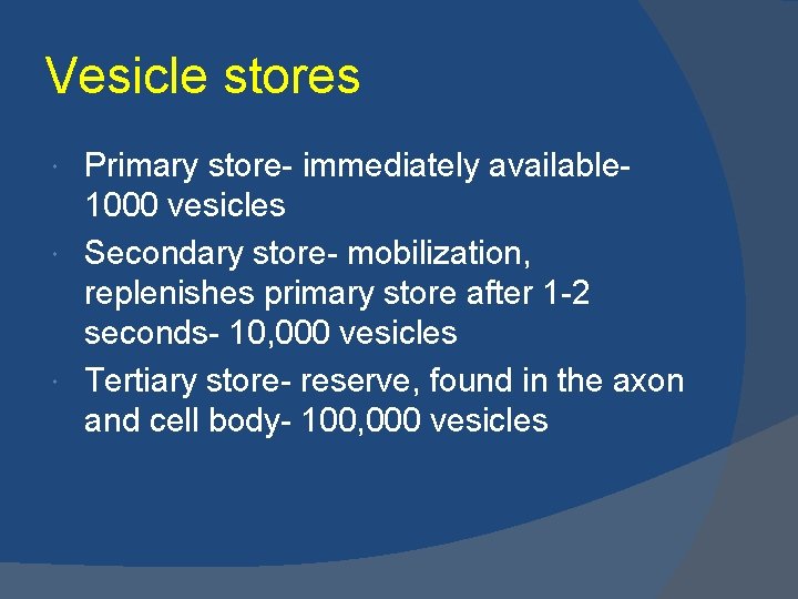 Vesicle stores Primary store- immediately available 1000 vesicles Secondary store- mobilization, replenishes primary store