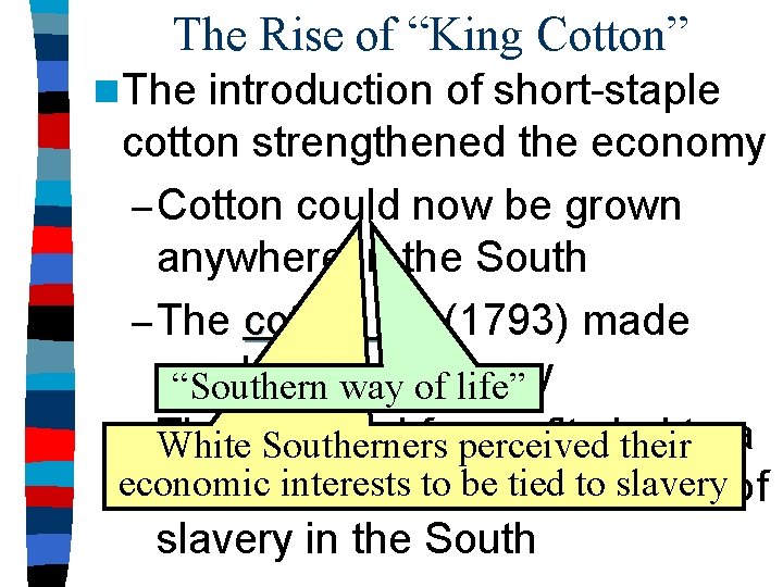 The Rise of “King Cotton” n The introduction of short-staple cotton strengthened the economy