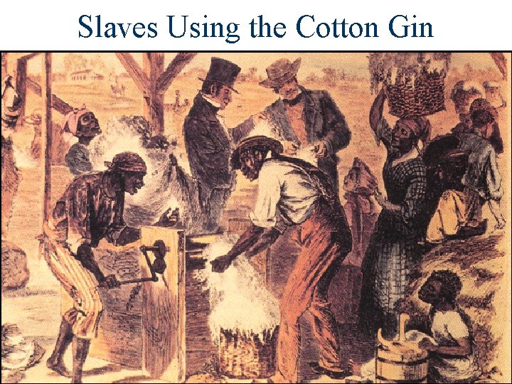 Slaves Using the Cotton Gin 