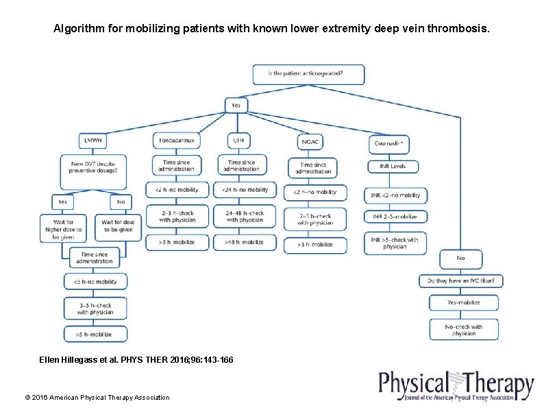 Algorithm for mobilizing patients with known lower extremity deep vein thrombosis. Ellen Hillegass et