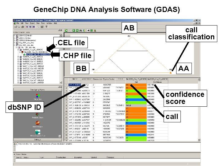Gene. Chip DNA Analysis Software (GDAS) AB. CEL file call classification . CHP file