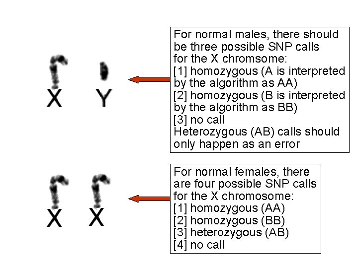 For normal males, there should be three possible SNP calls for the X chromsome: