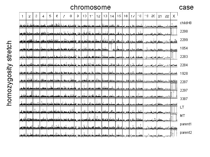 chromosome case child. H 8 homozygosity stretch 2298 2299 1054 2283 2284 1928 2287