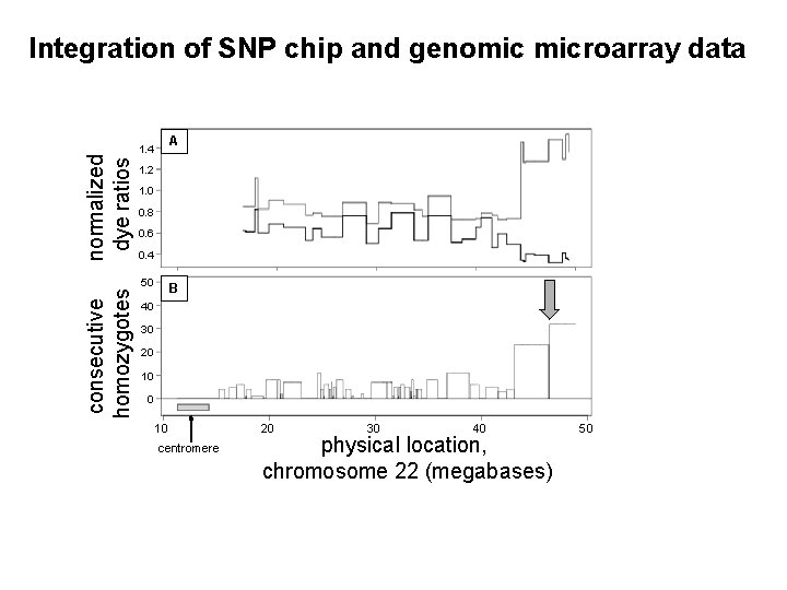 consecutive homozygotes normalized dye ratios Integration of SNP chip and genomic microarray data A