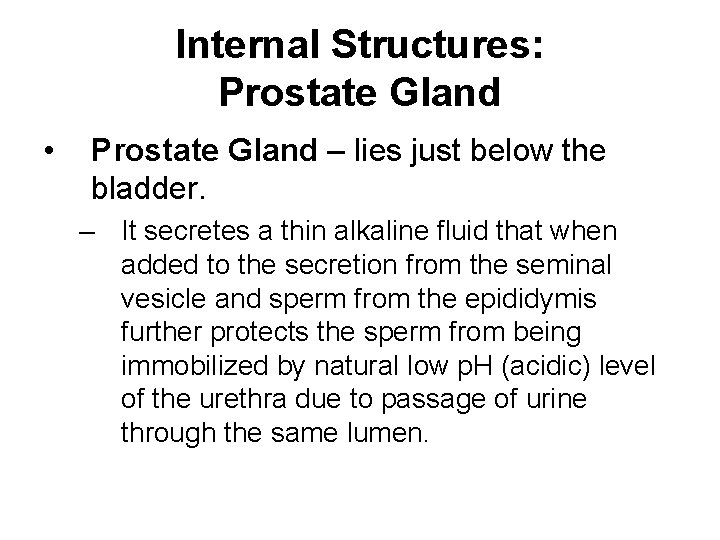 Internal Structures: Prostate Gland • Prostate Gland – lies just below the bladder. –