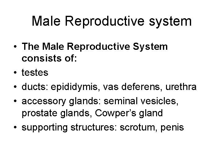 Male Reproductive system • The Male Reproductive System consists of: • testes • ducts: