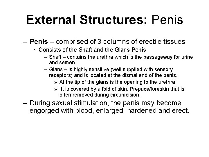 External Structures: Penis – comprised of 3 columns of erectile tissues • Consists of