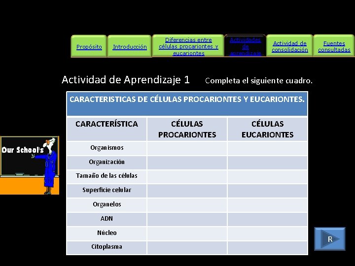 Propósito Introducción Diferencias entre células procariontes y eucariontes Actividad de Aprendizaje 1 Actividades de