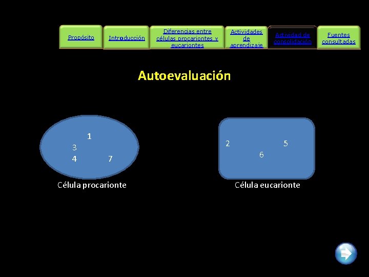 Propósito Introducción Diferencias entre células procariontes y eucariontes Actividades de aprendizaje Actividad de consolidación