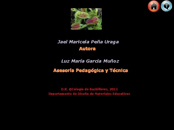 Jael Maricela Peña Uraga Autora Luz María García Muñoz Asesoría Pedagógica y Técnica D.