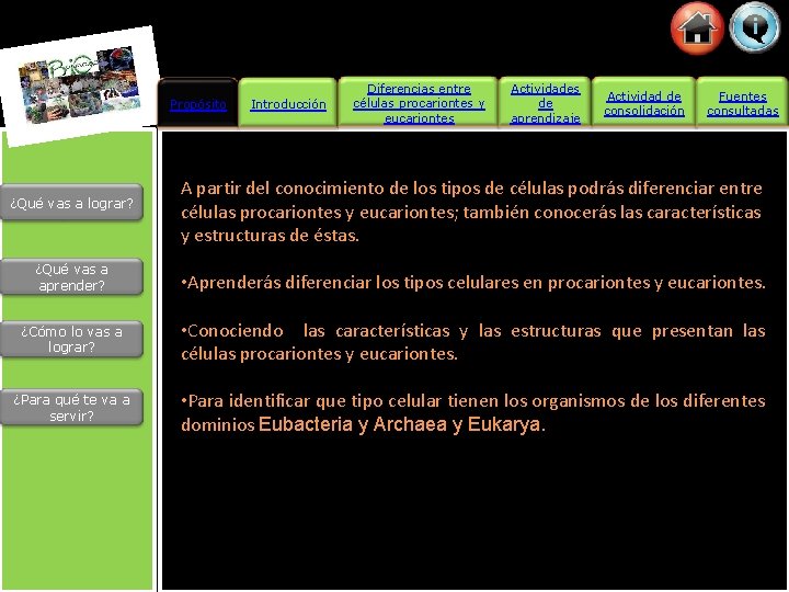 Propósito ¿Qué vas a lograr? Introducción Diferencias entre células procariontes y eucariontes Actividades de