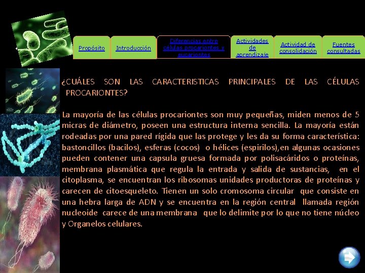  • • Propósito Introducción ¿CUÁLES SON LAS PROCARIONTES? Diferencias entre células procariontes y