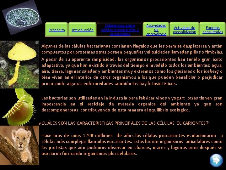 Propósito Introducción Diferencias entre células procariontes y eucariontes Actividades de aprendizaje Actividad de consolidación