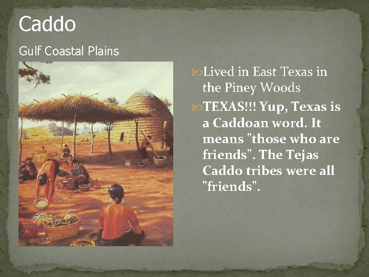 Caddo Gulf Coastal Plains Lived in East Texas in the Piney Woods TEXAS!!! Yup,