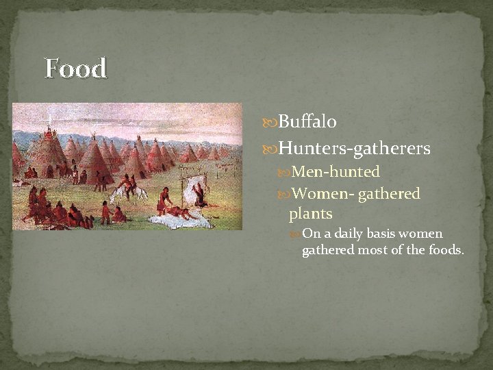 Food Buffalo Hunters-gatherers Men-hunted Women- gathered plants On a daily basis women gathered most