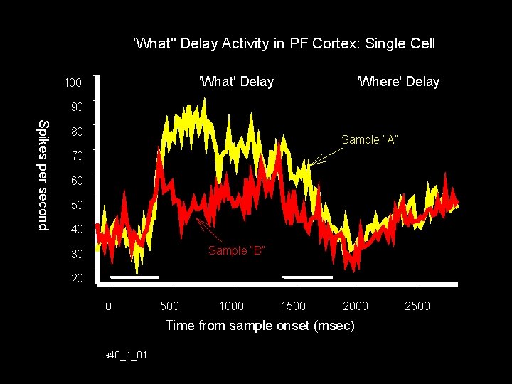 'What" Delay Activity in PF Cortex: Single Cell 'What' Delay 100 'Where' Delay 90