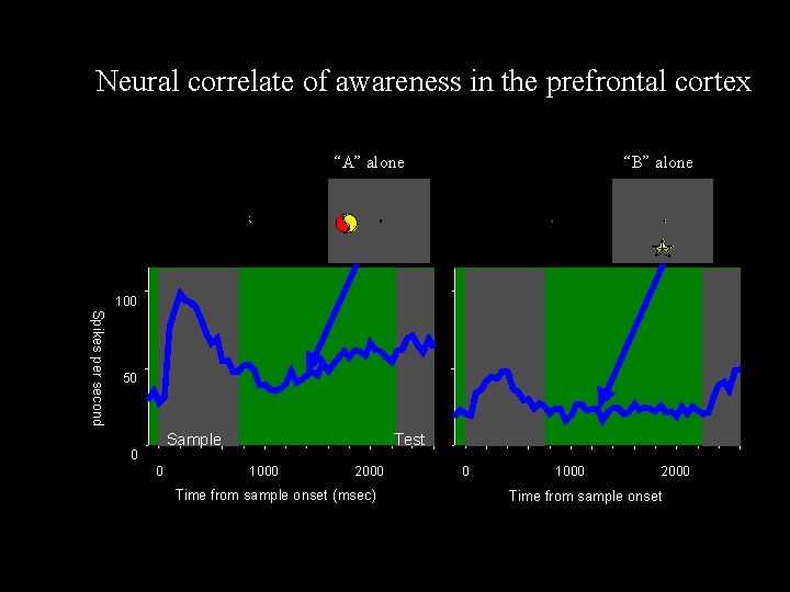 Neural correlate of awareness in the prefrontal cortex “A” alone “B” alone 100 Spikes