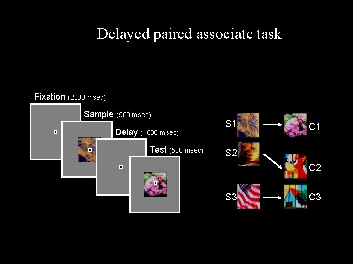 Delayed paired associate task Fixation (2000 msec) Sample (500 msec) Delay (1000 msec) Test