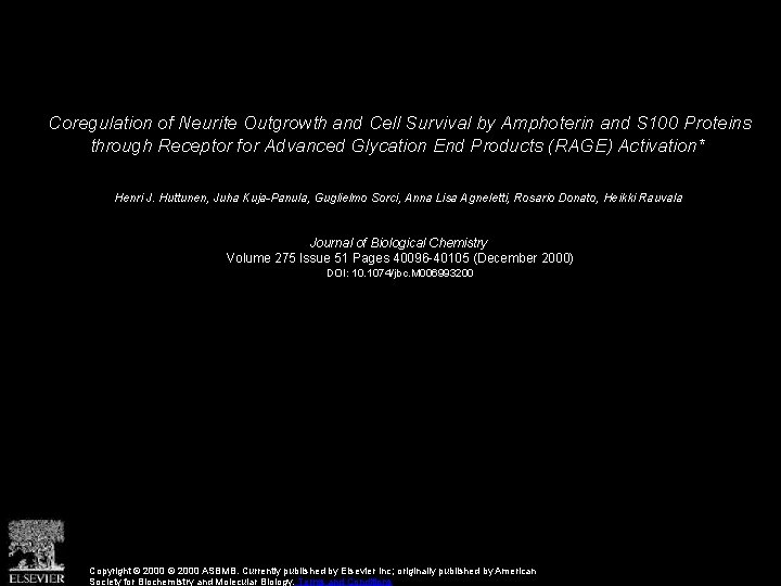 Coregulation of Neurite Outgrowth and Cell Survival by Amphoterin and S 100 Proteins through