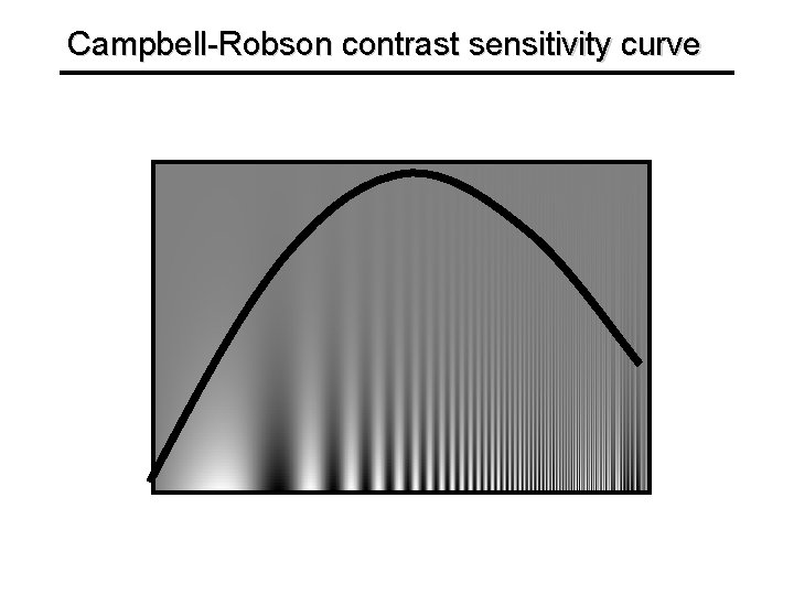 Campbell-Robson contrast sensitivity curve 