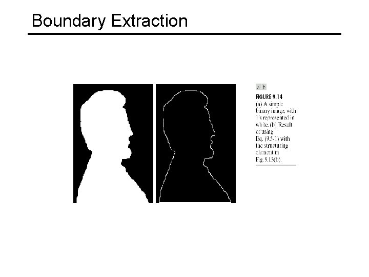 Boundary Extraction 