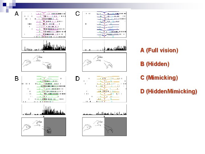 A (Full vision) B (Hidden) C (Mimicking) D (Hidden. Mimicking) Umiltà et al. Neuron