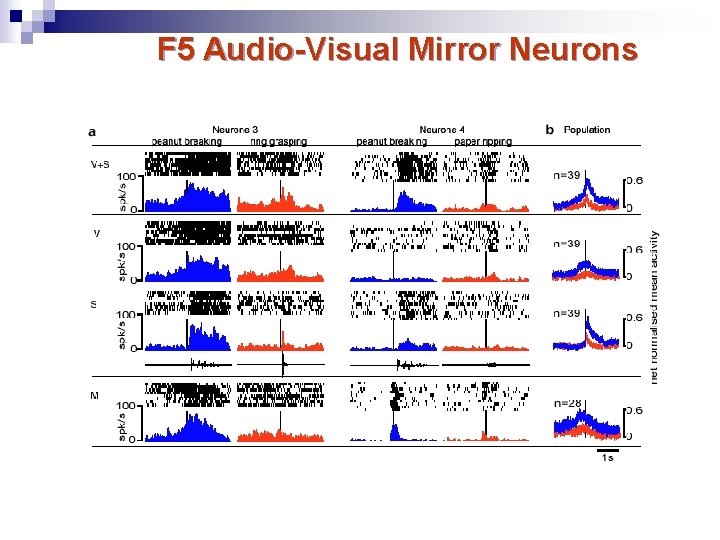 F 5 Audio-Visual Mirror Neurons Kohler et al. Science (2002) 