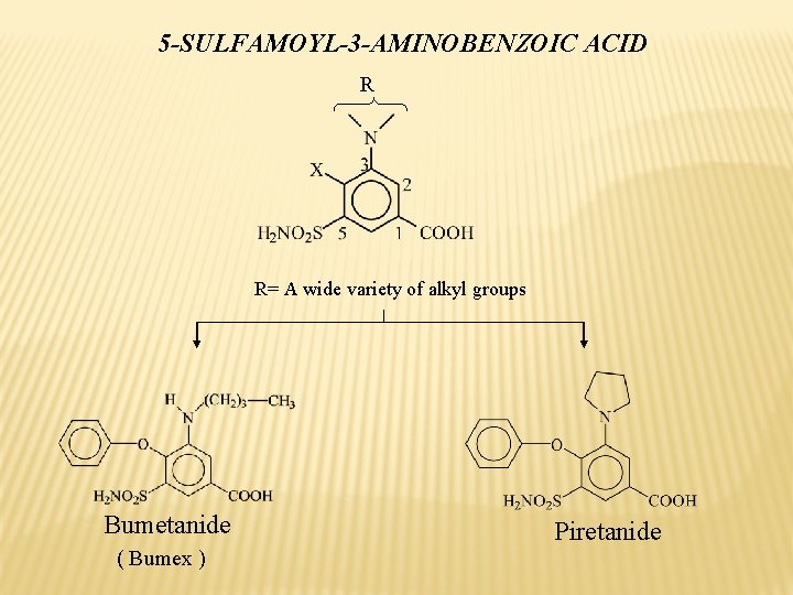 5 -SULFAMOYL-3 -AMINOBENZOIC ACID R R= A wide variety of alkyl groups Bumetanide (