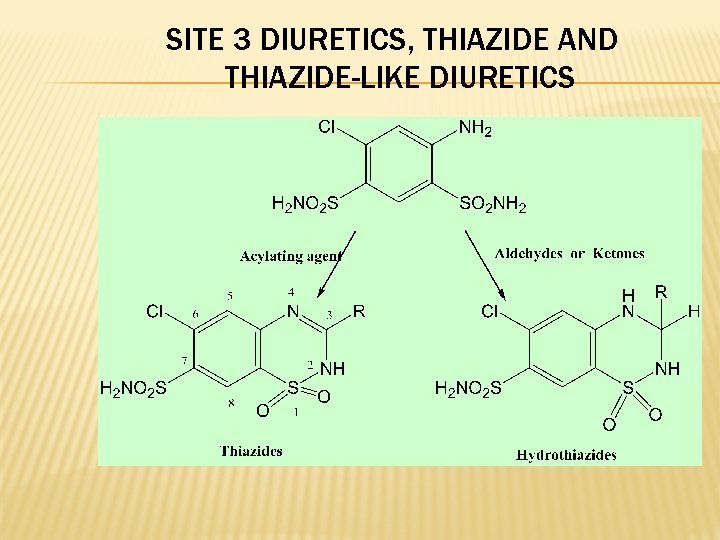 SITE 3 DIURETICS, THIAZIDE AND THIAZIDE-LIKE DIURETICS 
