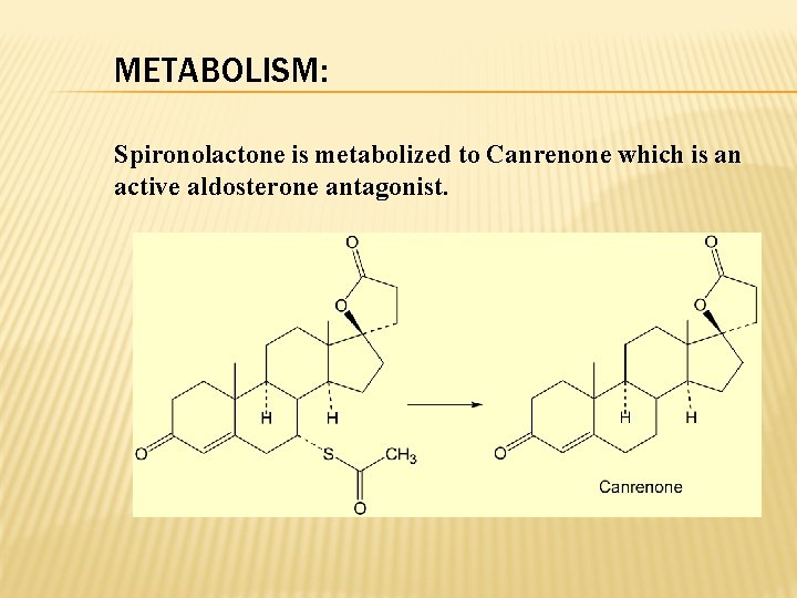 METABOLISM: Spironolactone is metabolized to Canrenone which is an active aldosterone antagonist. 